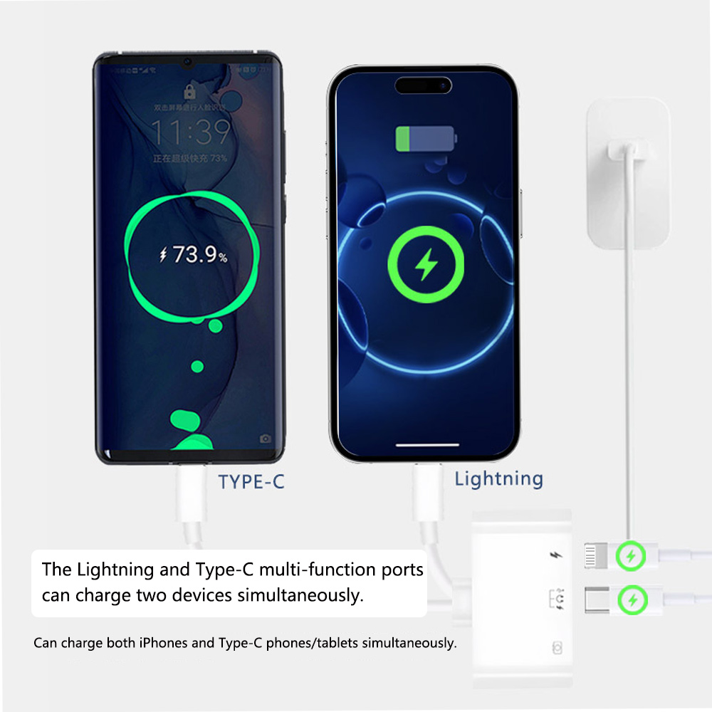 2 in 1 Lightning Type C to USB - Wired Earphone Lightning 评论和价格